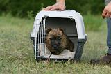 CAGE - BOX 014